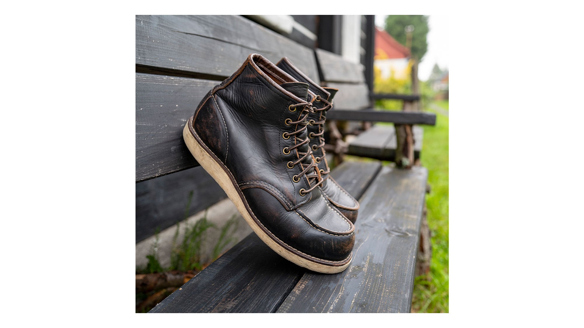 Moc Toe 8849