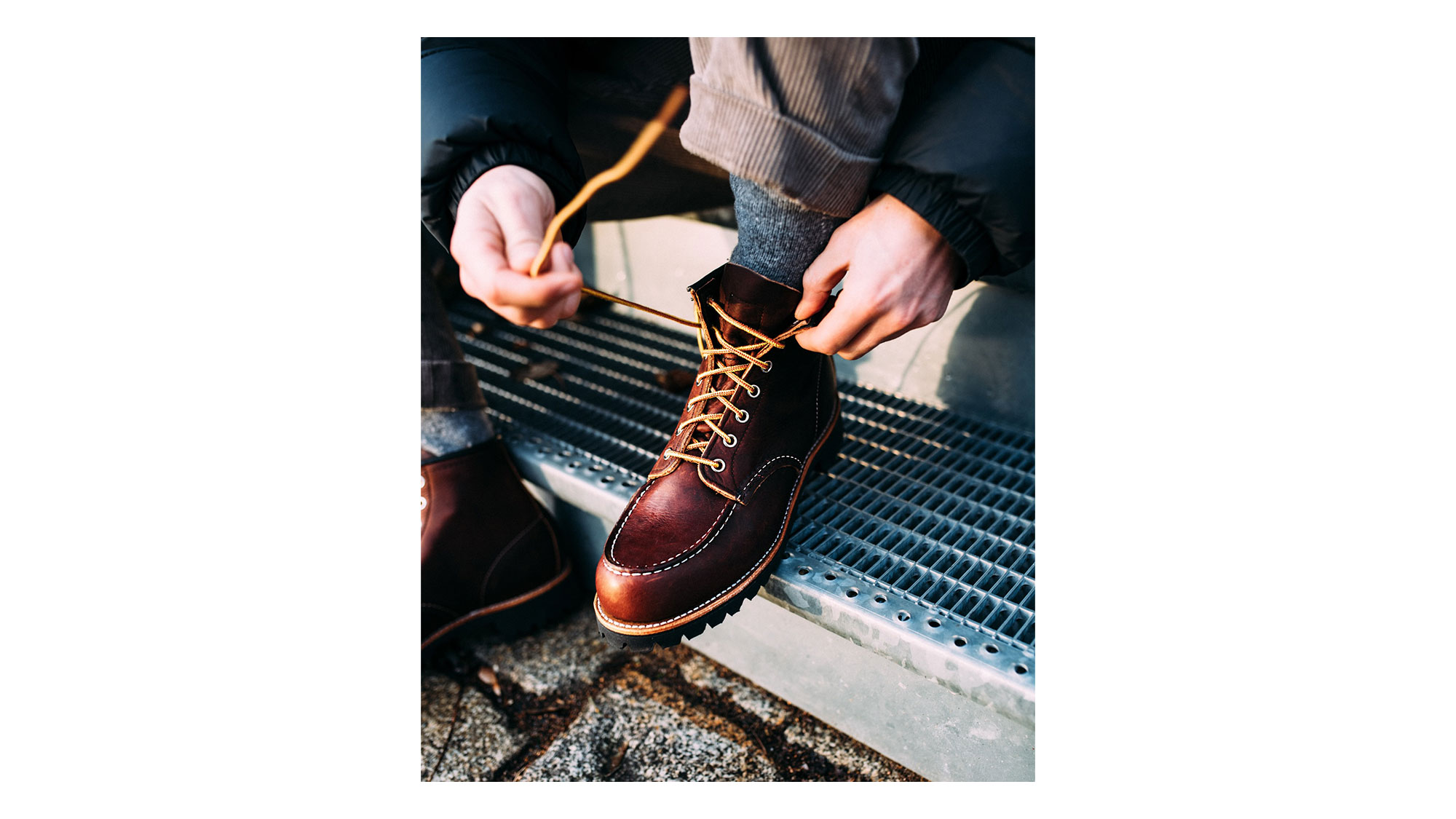 Roughneck 8146