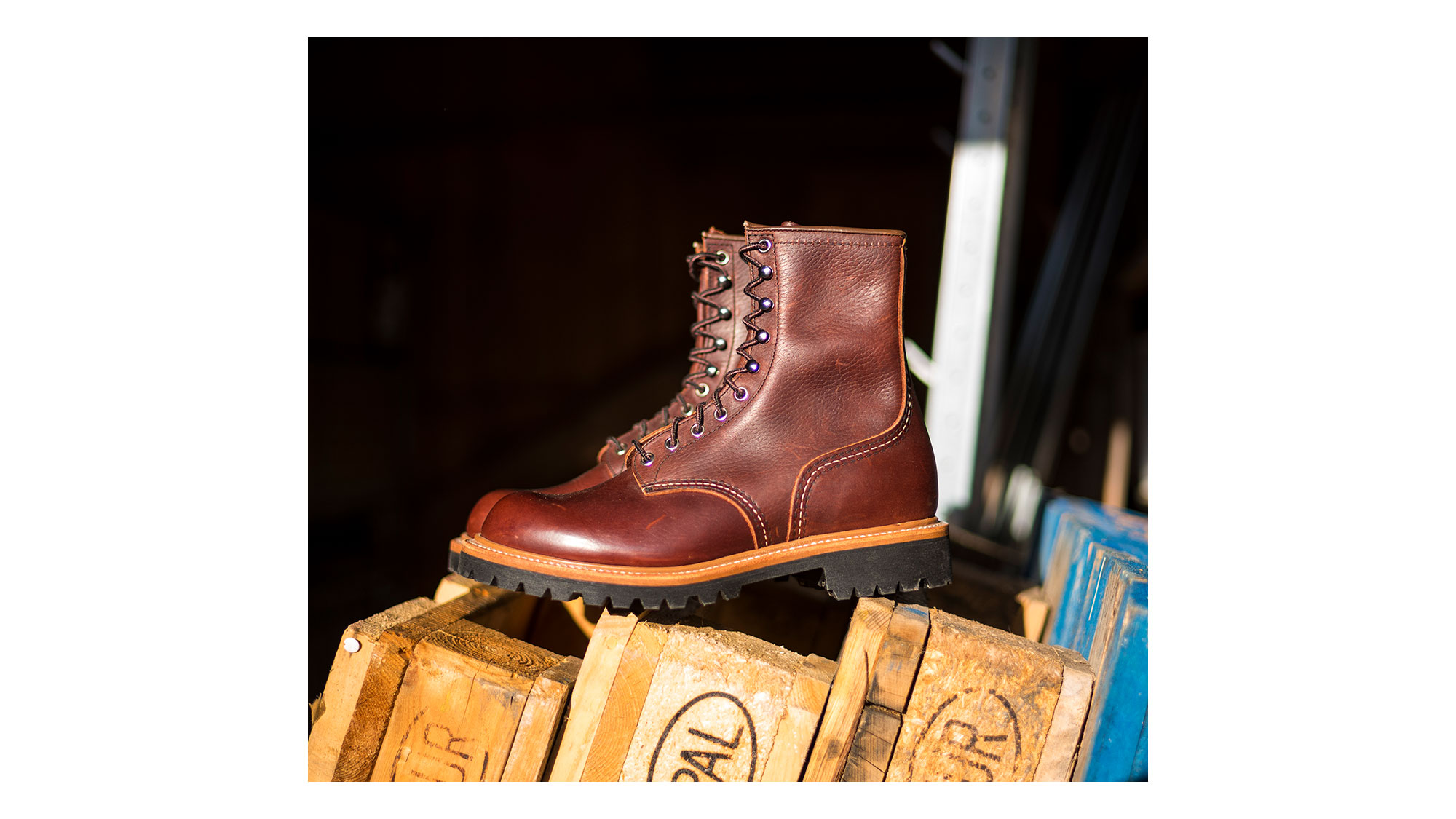 Logger 4585