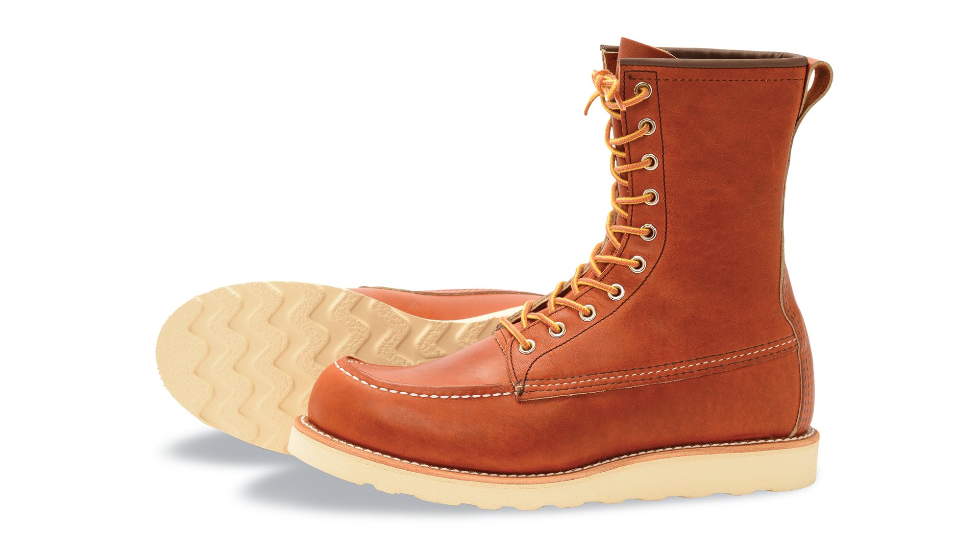 Irish Setter 877 Irish Setter 877
