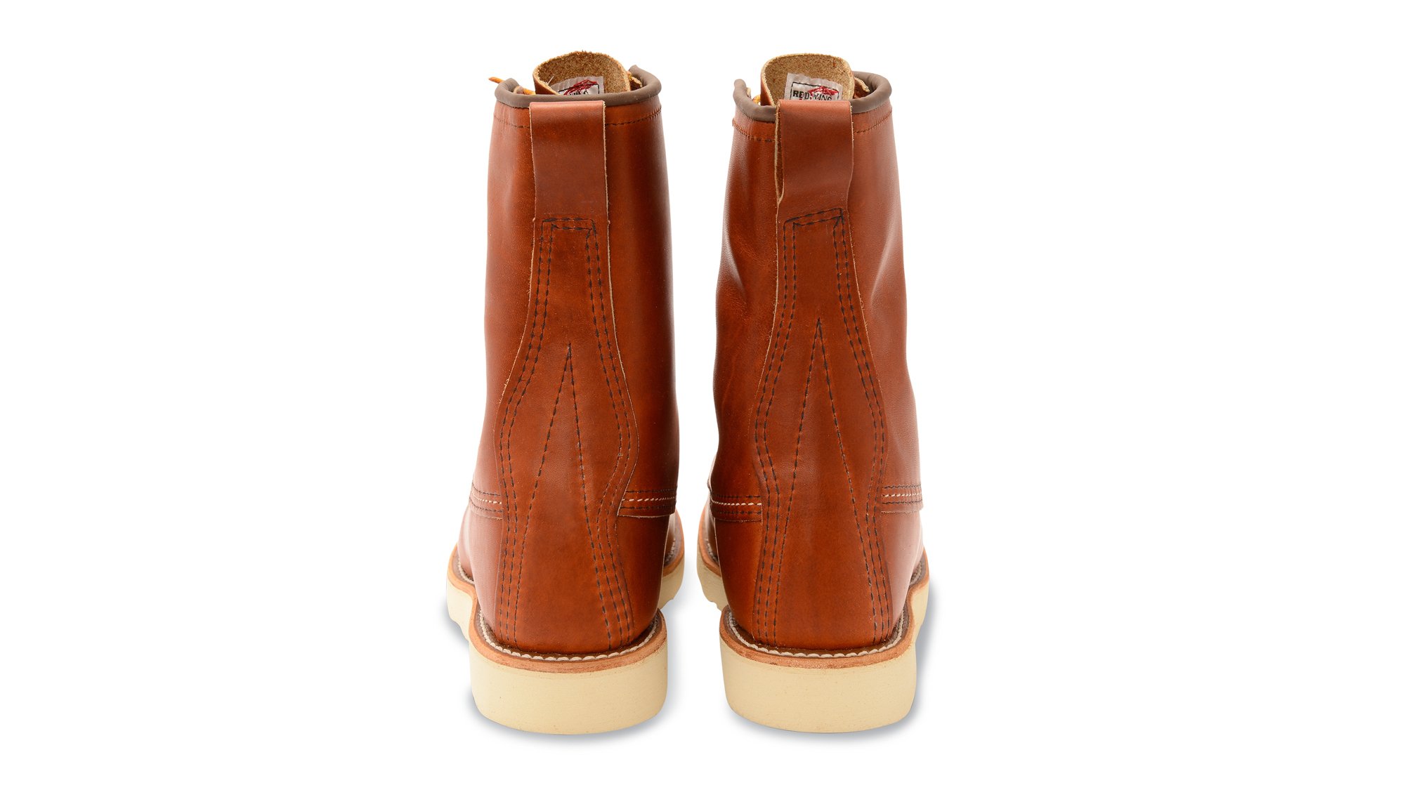 Irish Setter 877 Irish Setter 877
