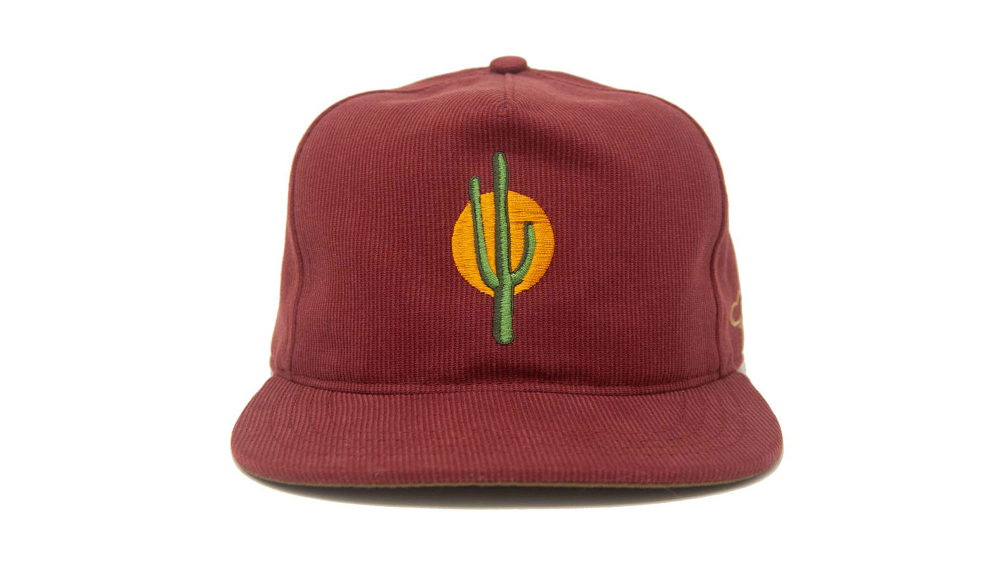 Sunset Cactus