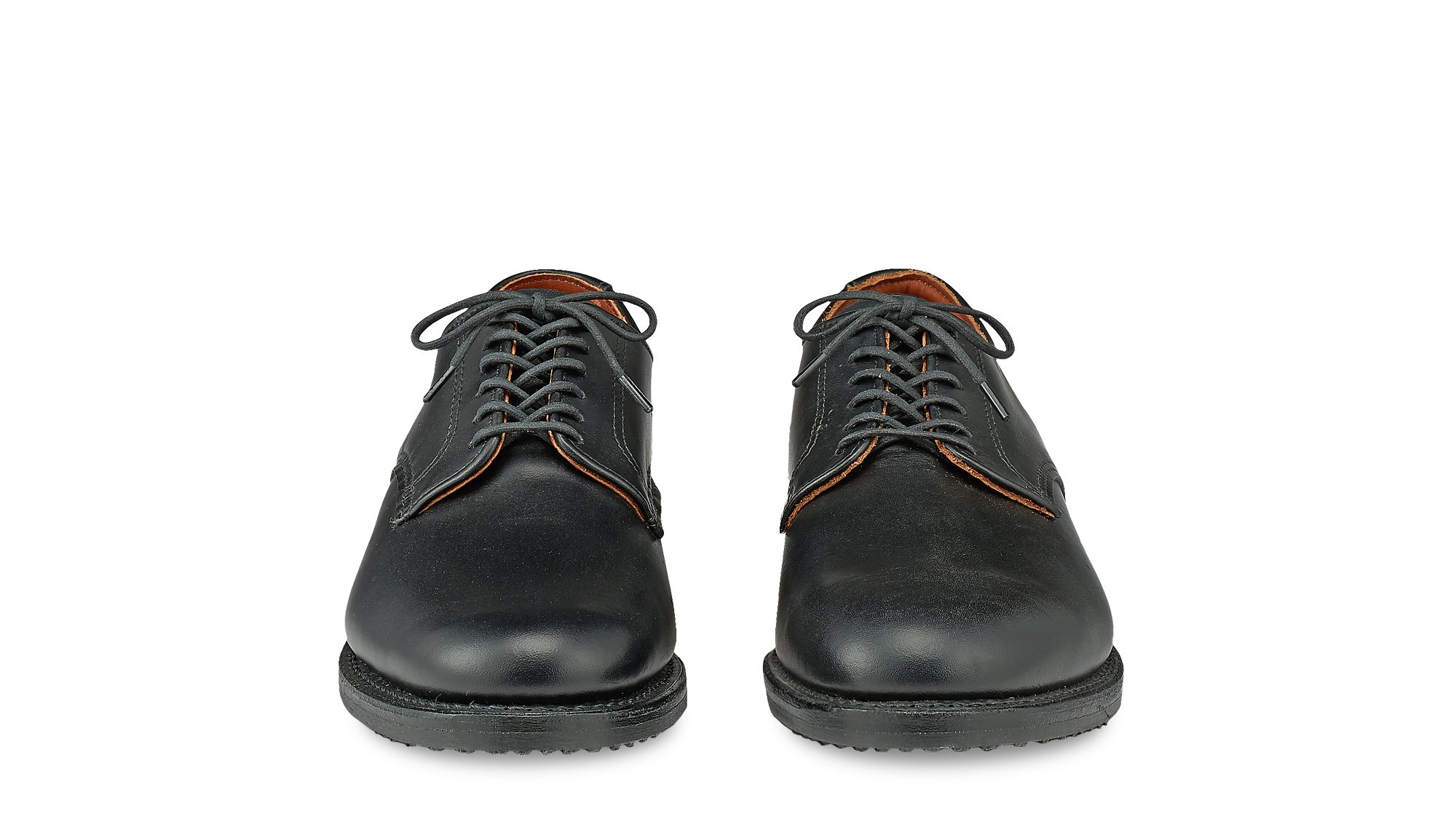 Williston 9431 Williston 9431